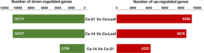 Fig. 5