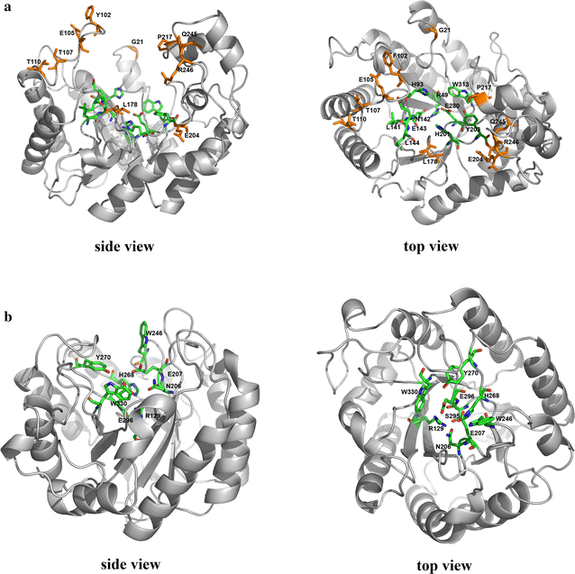 Fig. 8