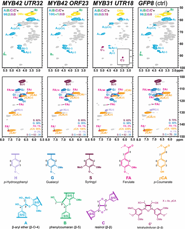 Fig. 7