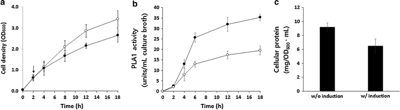 Fig. 1