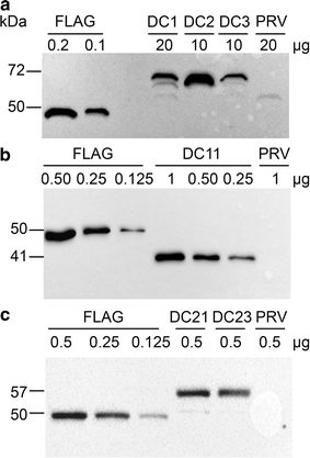 Fig. 4