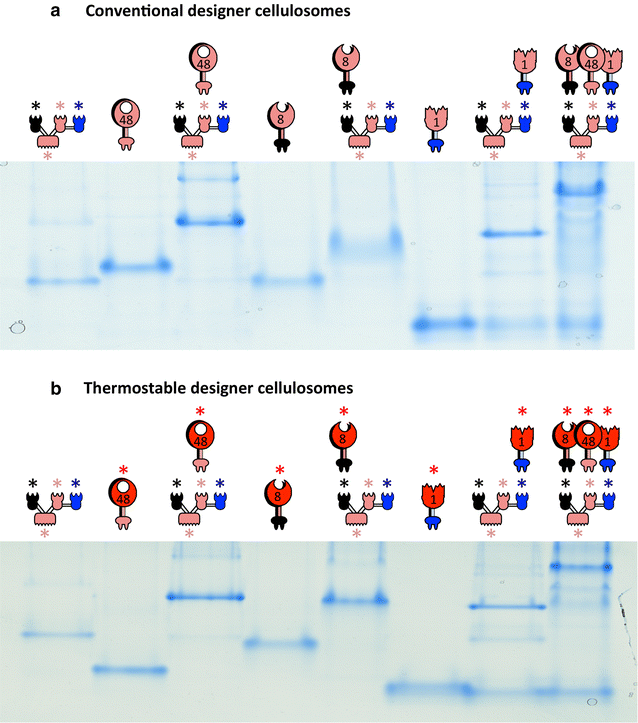 Fig. 3