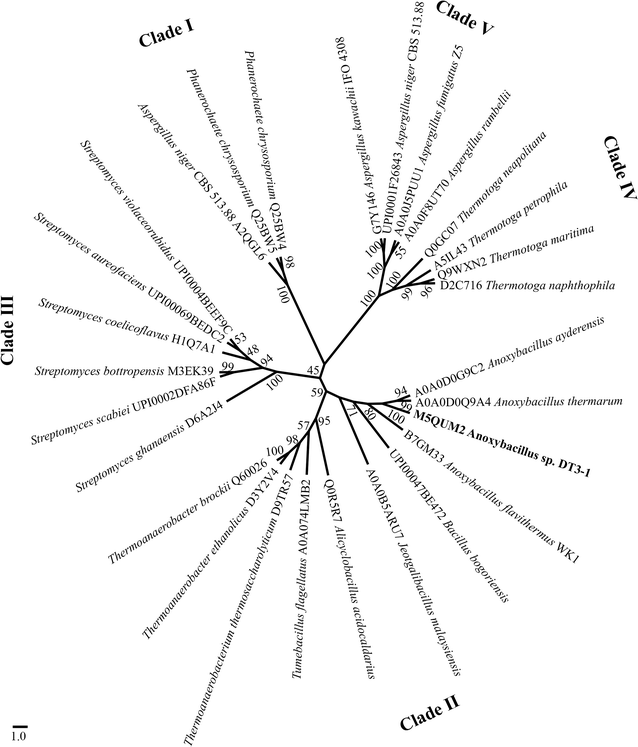 Fig. 3