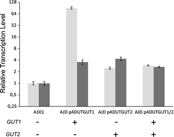 Fig. 2