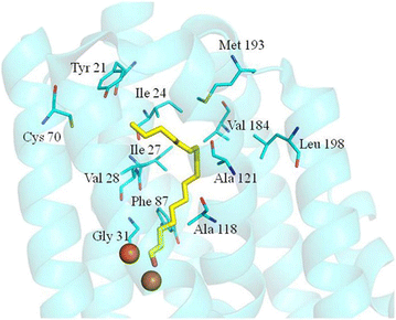 Fig. 1