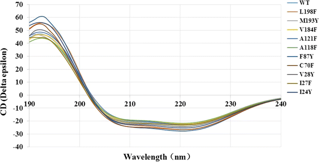 Fig. 4