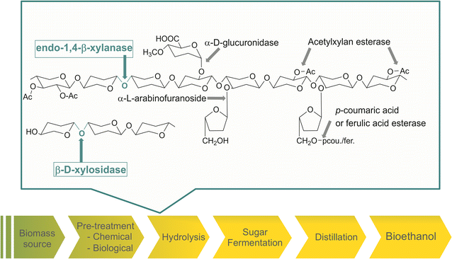 Fig. 1