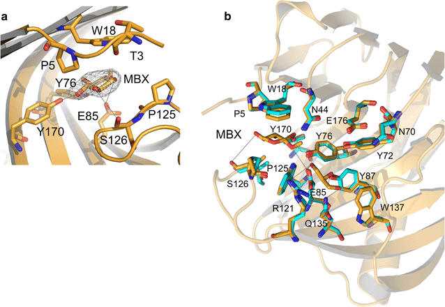 Fig. 5