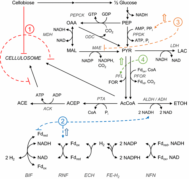 Fig. 8