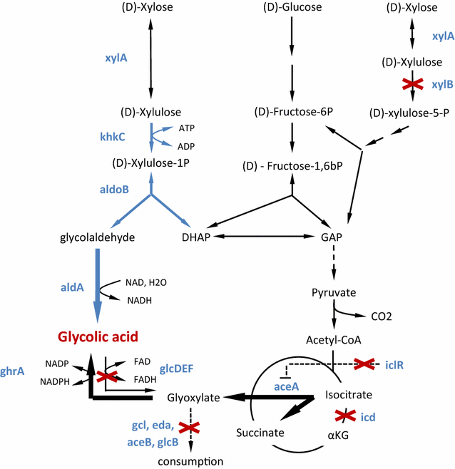 Fig. 1