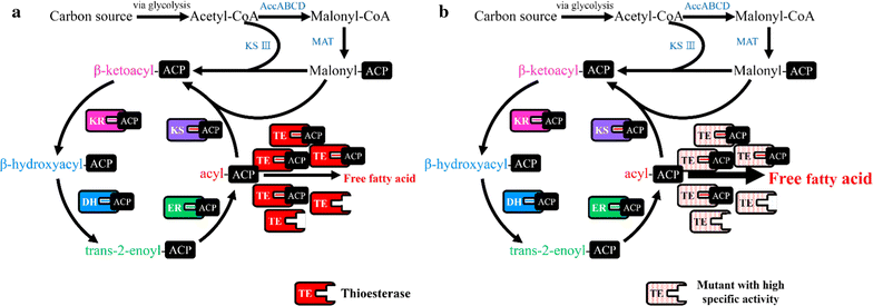 Fig. 1