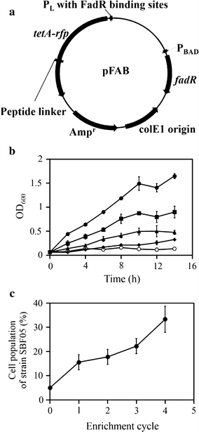 Fig. 2