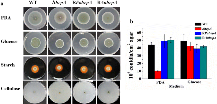 Fig. 2