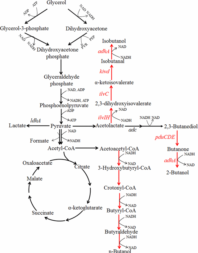 Fig. 3