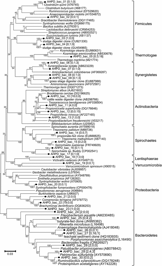 Fig. 6