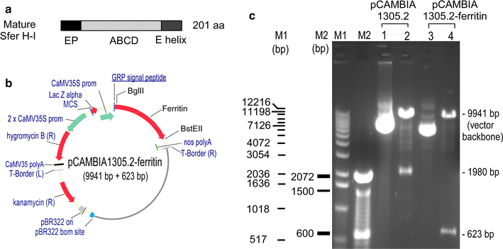 Fig. 6