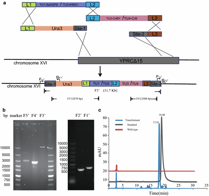 Fig. 4