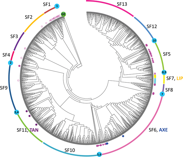 Fig. 2