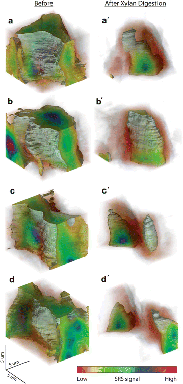 Fig. 7