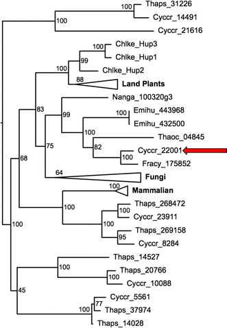 Fig. 9