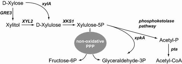 Fig. 1