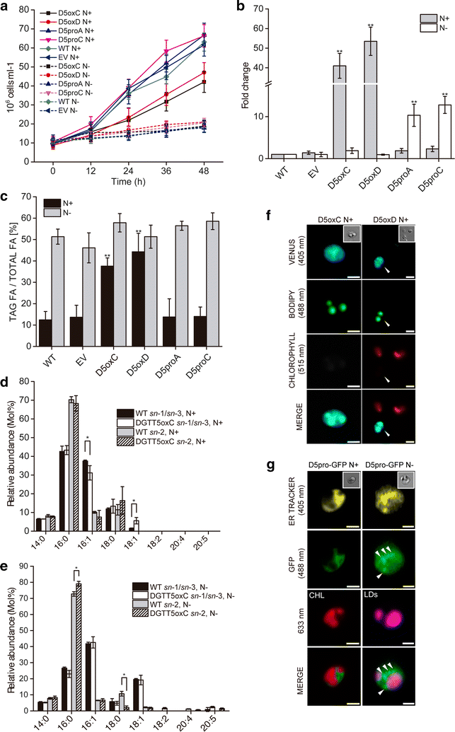 Fig. 3