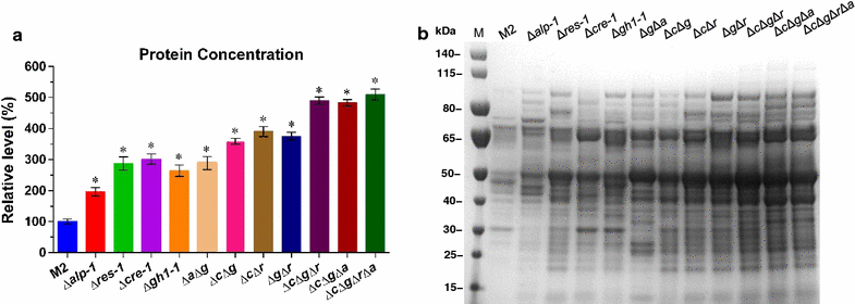 Fig. 6