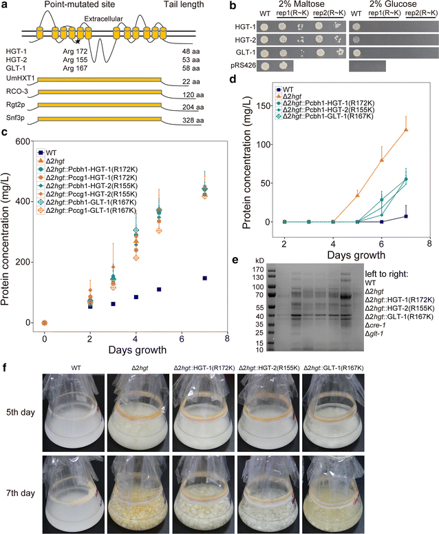 Fig. 10