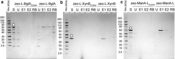 Fig. 5