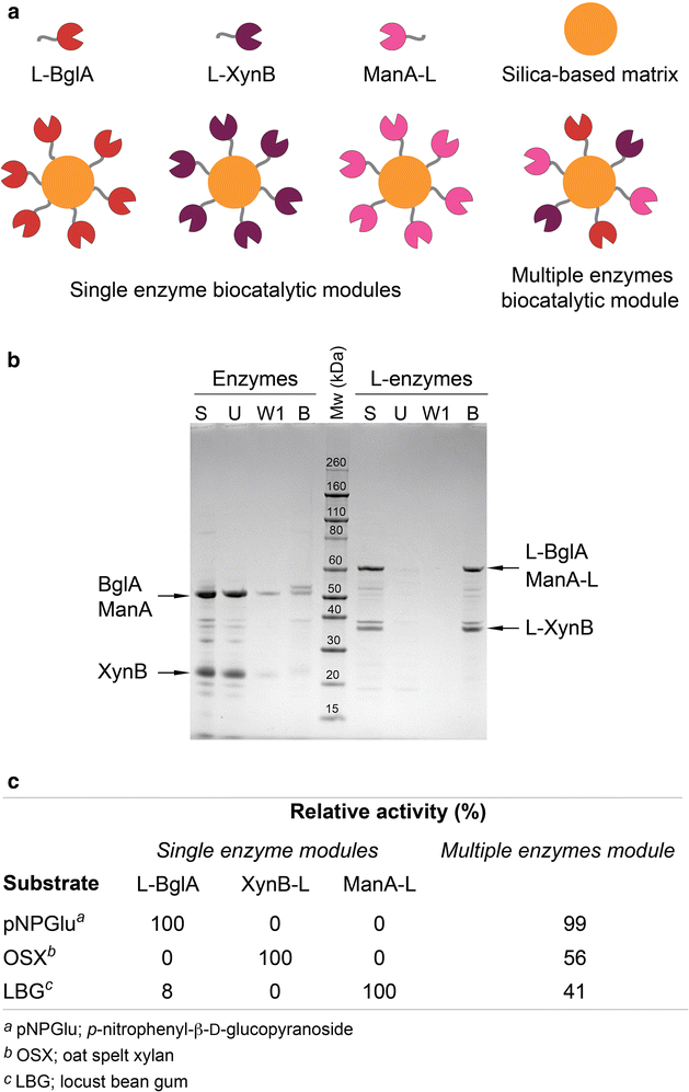 Fig. 7