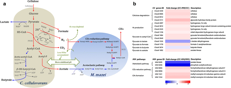 Fig. 6