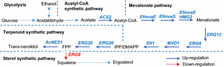 Fig. 1