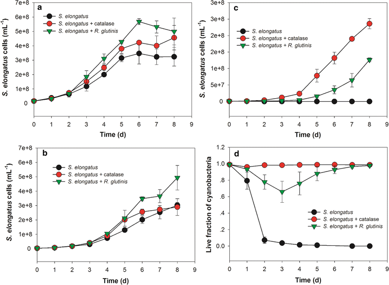 Fig. 7