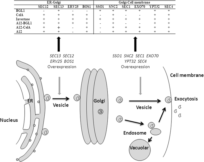 Fig. 8