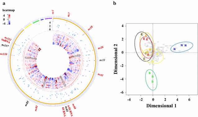 Fig. 3