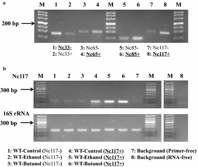 Fig. 6