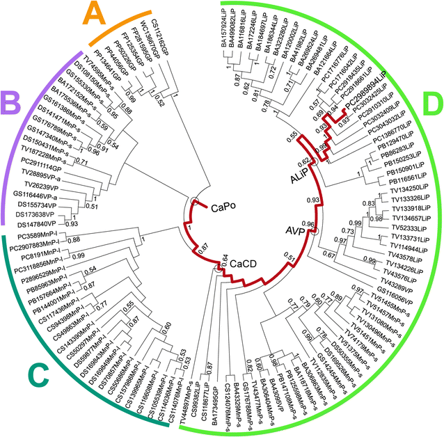 Fig. 1