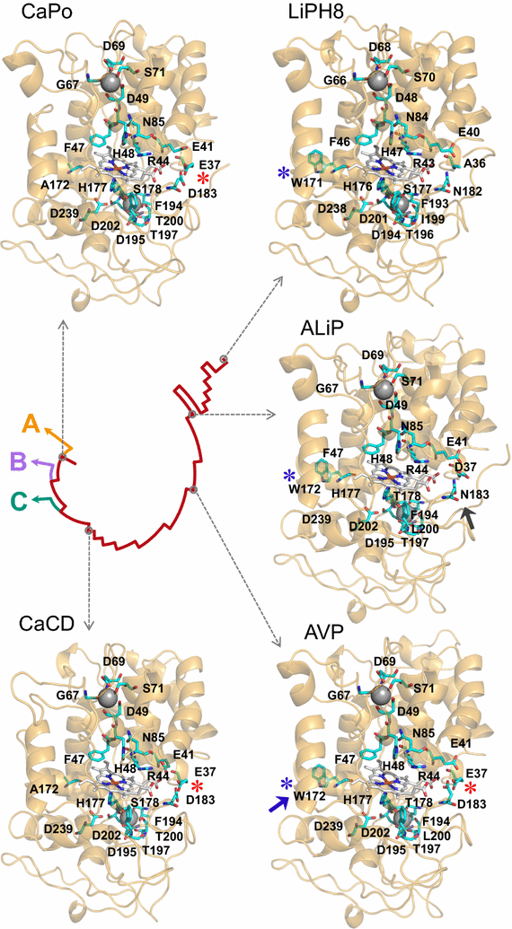 Fig. 3