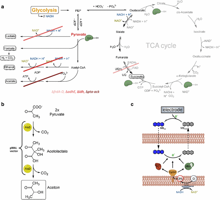 Fig. 6