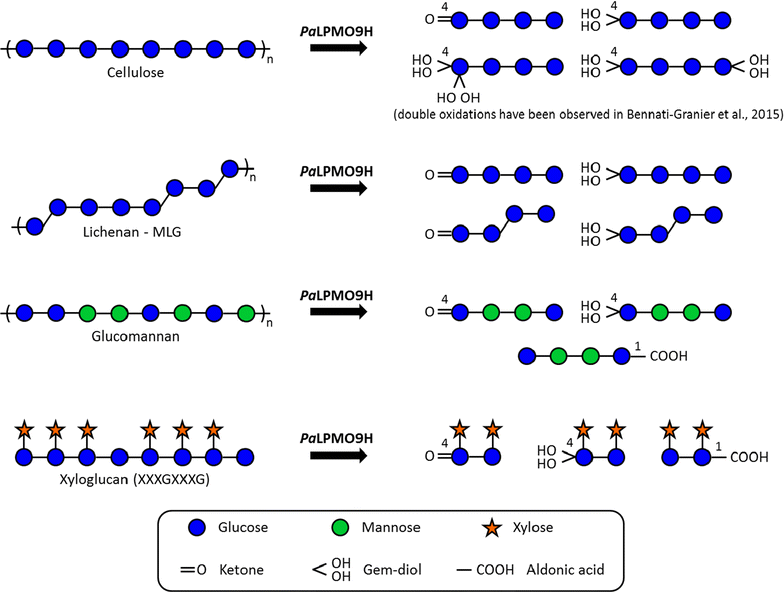 Fig. 5