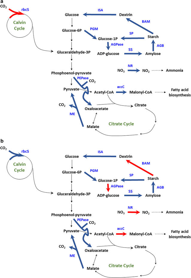 Fig. 10