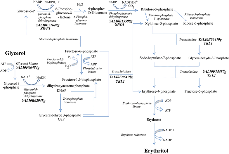 Fig. 1