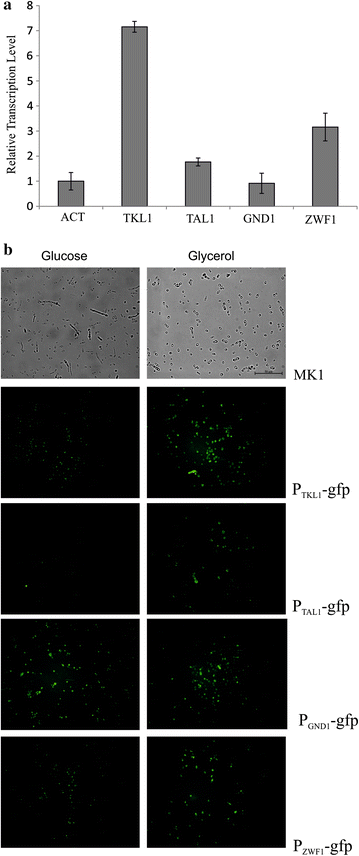 Fig. 2