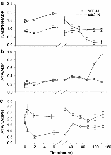 Fig. 5