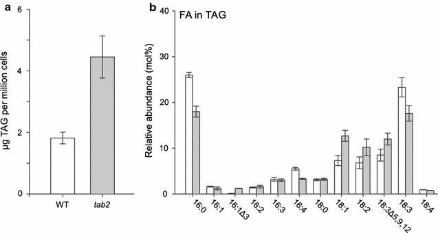 Fig. 6