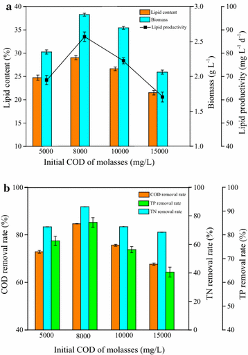 Fig. 6