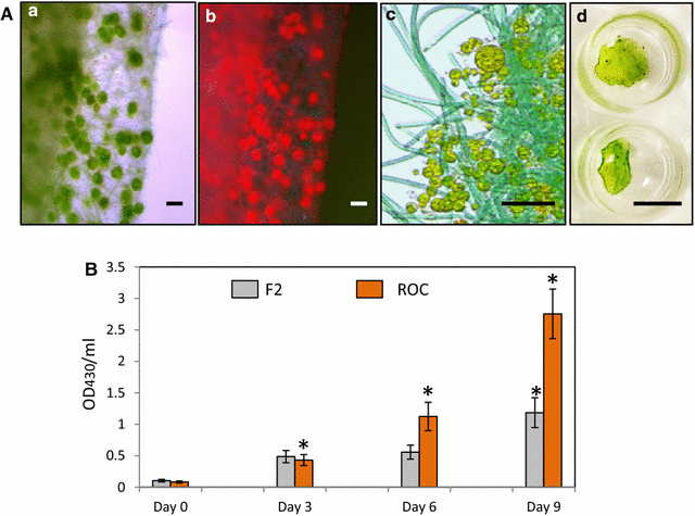 Fig. 9