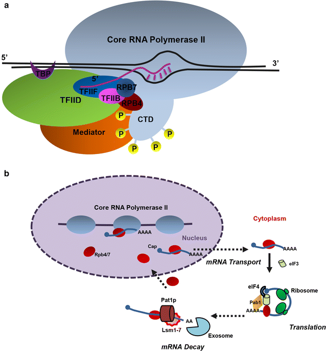 Fig. 1