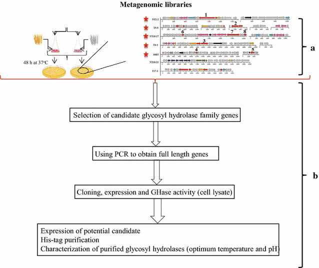 Fig. 1