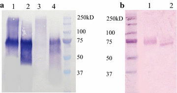 Fig. 3